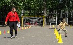 kliknij, aby zobaczy powikszenie