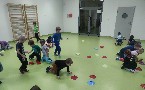 kliknij, aby zobaczy powikszenie