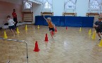 kliknij, aby zobaczy powikszenie