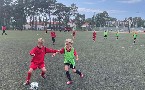 kliknij, aby zobaczy powikszenie