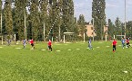 kliknij, aby zobaczy powikszenie
