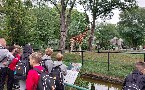 kliknij, aby zobaczy powikszenie