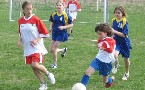 kliknij, aby zobaczyae powiekszenie