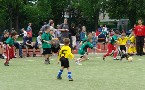 kliknij, aby zobaczy powikszenie
