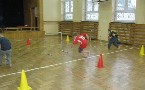 kliknij, aby zobaczy powikszenie