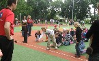 kliknij, aby zobaczy powikszenie