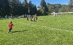 kliknij, aby zobaczy� powi�kszenie
