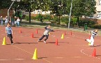 kliknij, aby zobaczy powikszenie