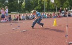 kliknij, aby zobaczy powikszenie