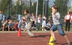 kliknij, aby zobaczy powikszenie