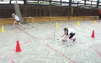 kliknij, aby zobaczy powikszenie