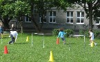 kliknij, aby zobaczy powikszenie